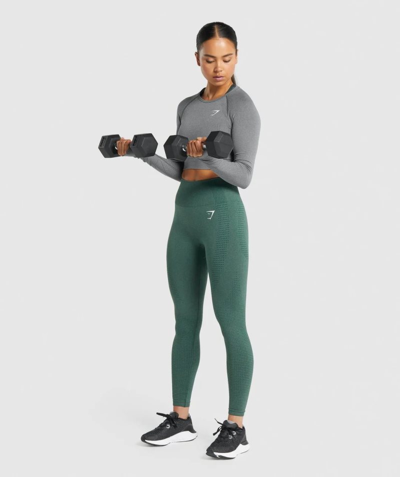 Women's Gymshark Vital Seamless 2.0 Long Sleeve Cropped Tops Grey | NZ 4AJYUI